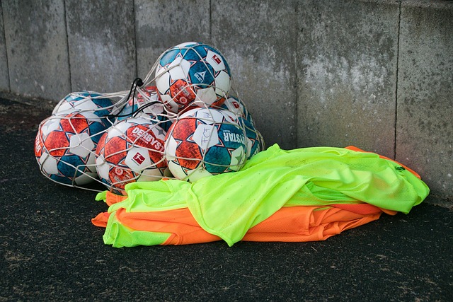 能迅速融入 能迅速融入