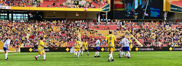 这些国际组 这些国际组