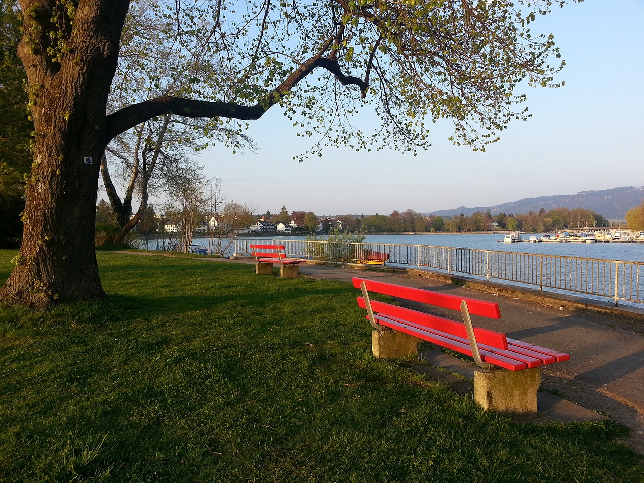 日的一场重 日的一场重