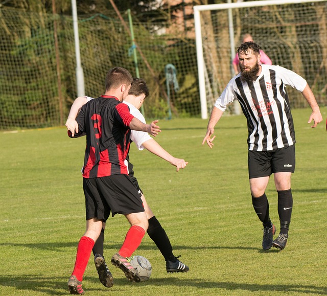 乳清蛋白 乳清蛋白