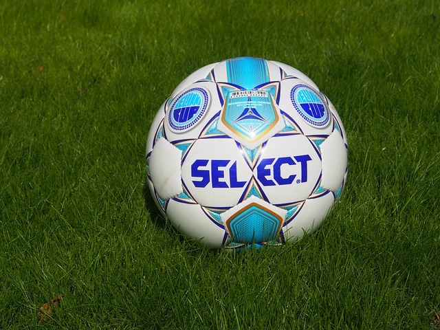 少年乒乓球 少年乒乓球