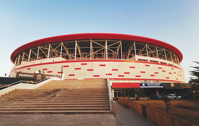 的选手被专 的选手被专