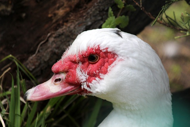 用专业的技 用专业的技