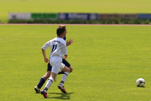 术的革新贡 术的革新贡