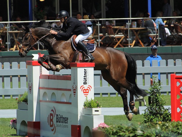 乐部在运营 乐部在运营