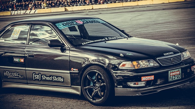 新鲜力量 新鲜力量