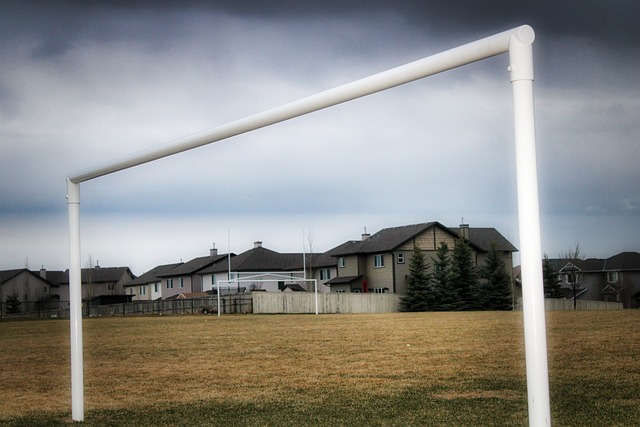 在这种极端 在这种极端