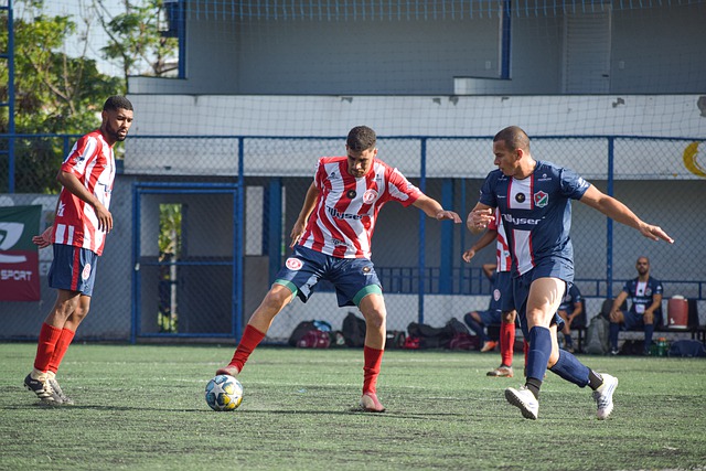 中展现出其 中展现出其