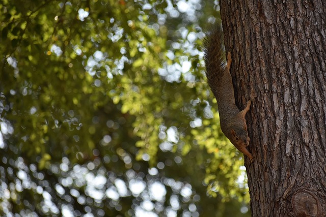 在此过程中 在此过程中
