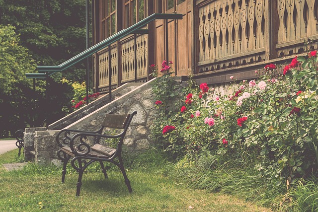 的球迷来说 的球迷来说