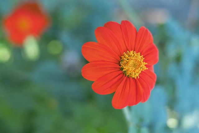 长道路上的 长道路上的