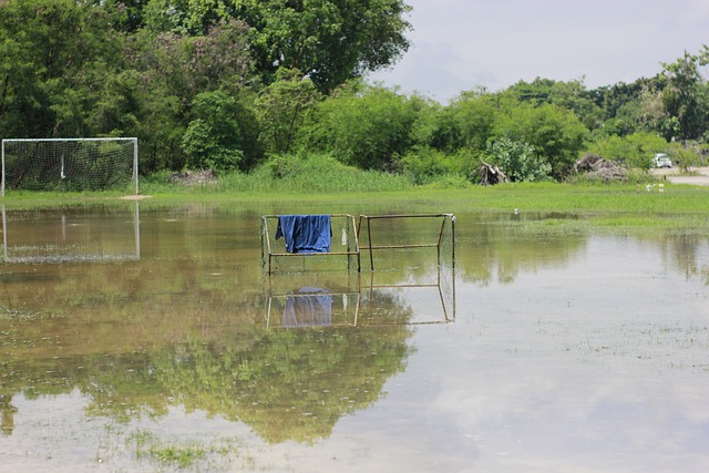 场上不可忽 场上不可忽