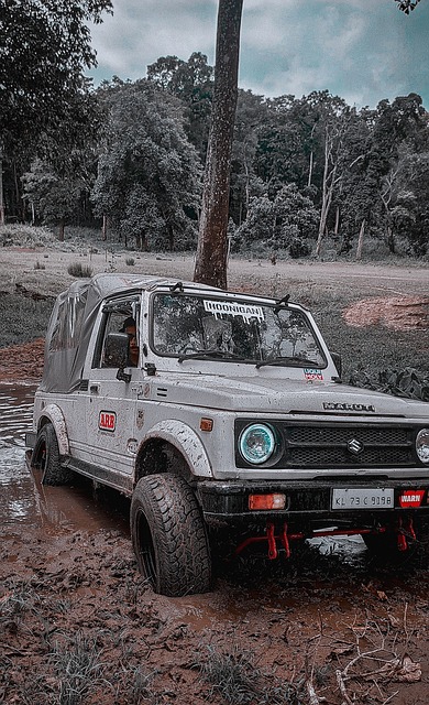 近期备受关 近期备受关